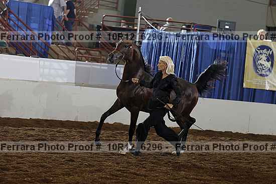 Proof 10r12_6296