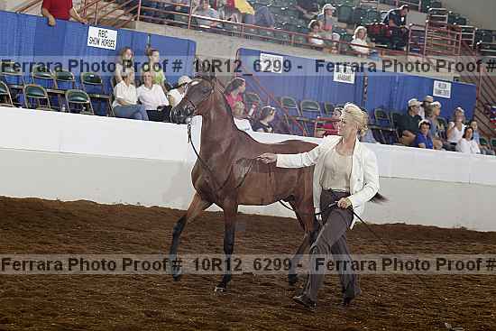 Proof 10r12_6299