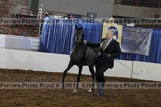 Proof 10r12_6301