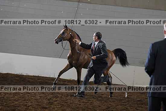 Proof 10r12_6302