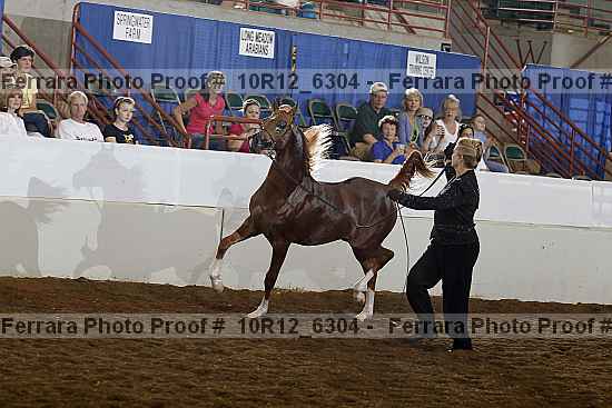 Proof 10r12_6304