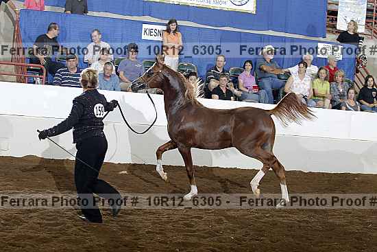 Proof 10r12_6305