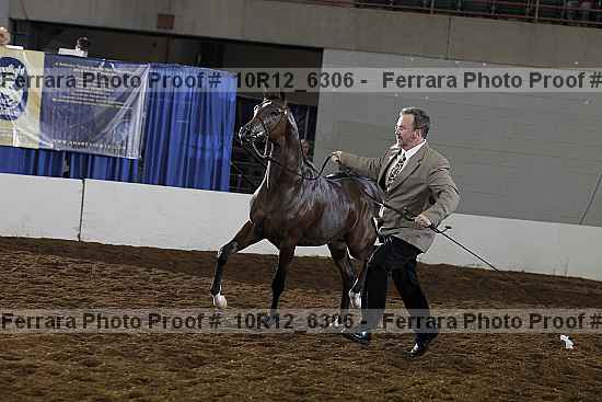 Proof 10r12_6306