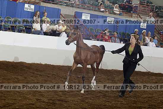 Proof 10r12_6307