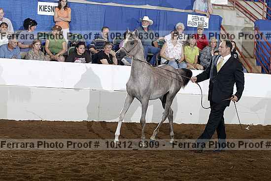 Proof 10r12_6309