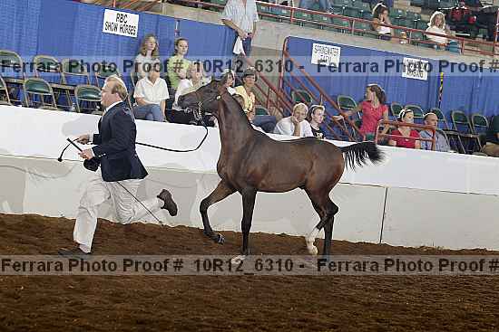 Proof 10r12_6310