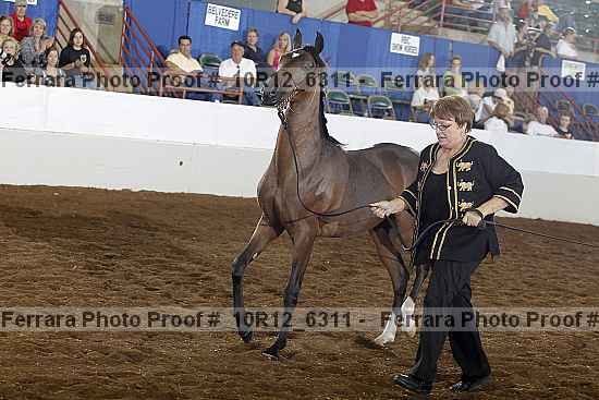 Proof 10r12_6311