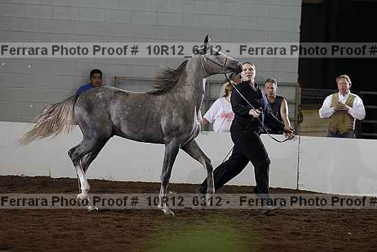 Proof 10r12_6312