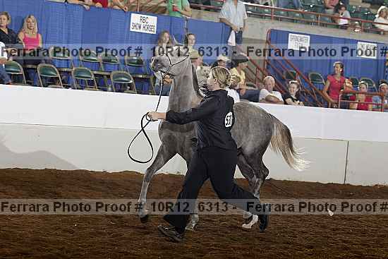 Proof 10r12_6313
