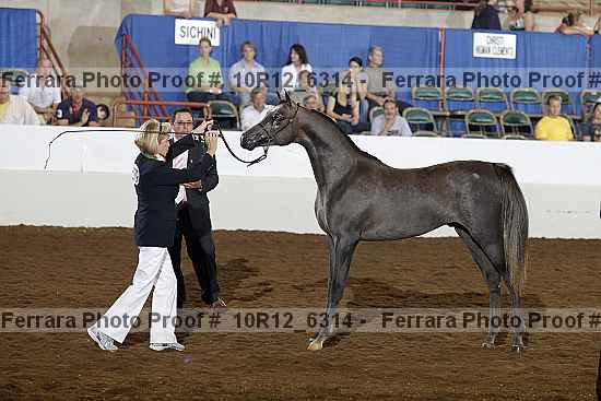 Proof 10r12_6314