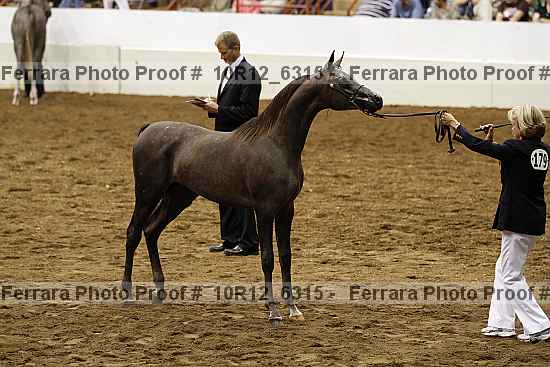 Proof 10r12_6315