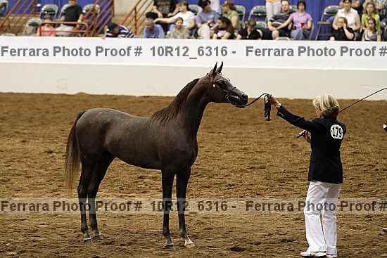Proof 10r12_6316