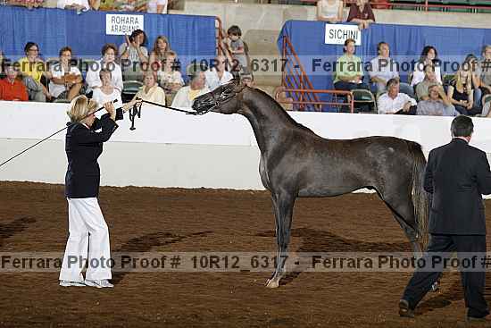 Proof 10r12_6317