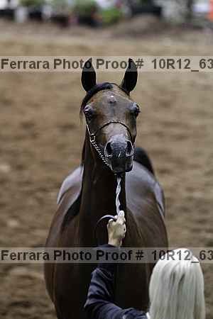 Proof 10r12_6318