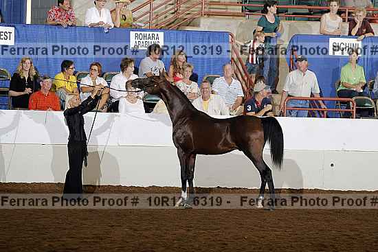 Proof 10r12_6319