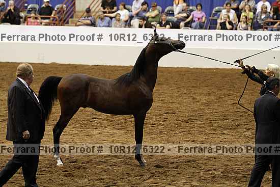 Proof 10r12_6322