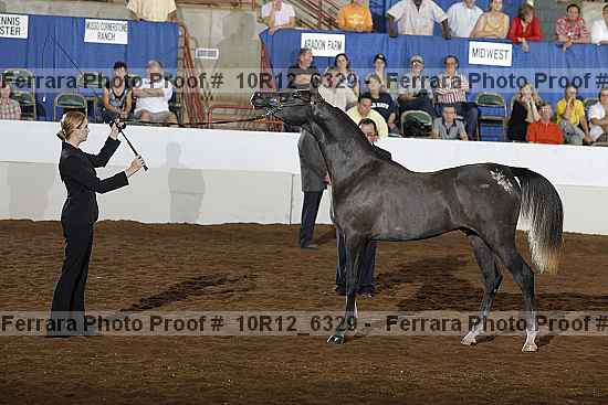 Proof 10r12_6329