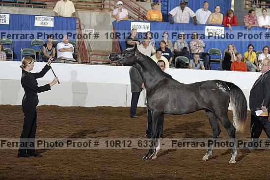 Proof 10r12_6330