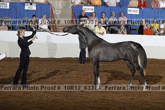 Proof 10r12_6331