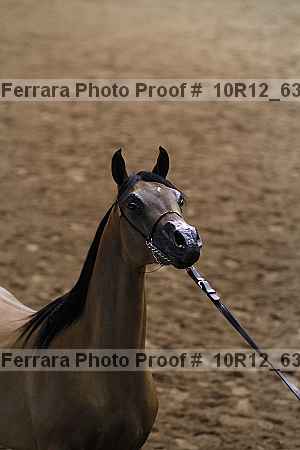 Proof 10r12_6333