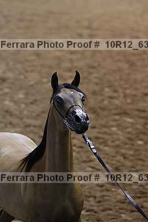 Proof 10r12_6334