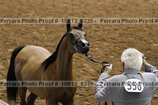Proof 10r12_6335