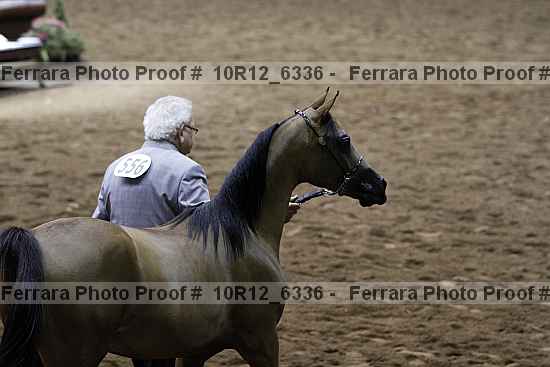 Proof 10r12_6336