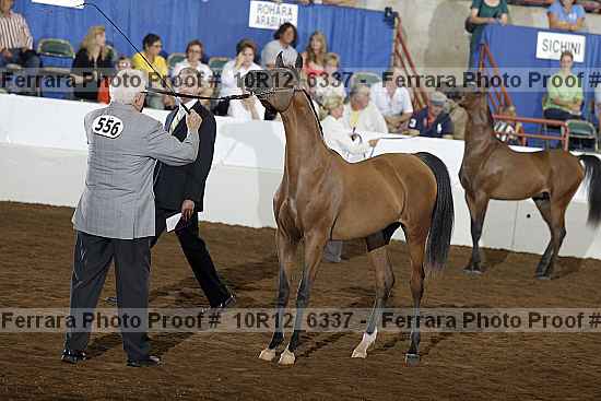 Proof 10r12_6337