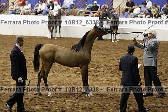 Proof 10r12_6338
