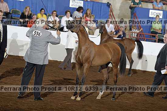 Proof 10r12_6339