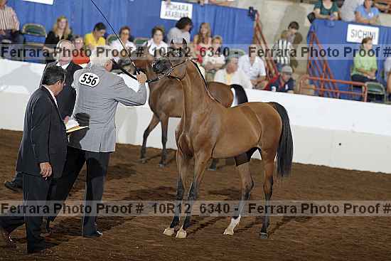 Proof 10r12_6340