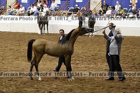 Proof 10r12_6341