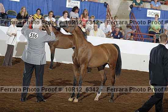Proof 10r12_6342