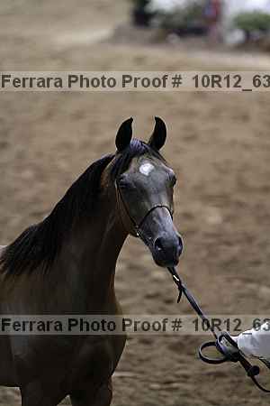 Proof 10r12_6343