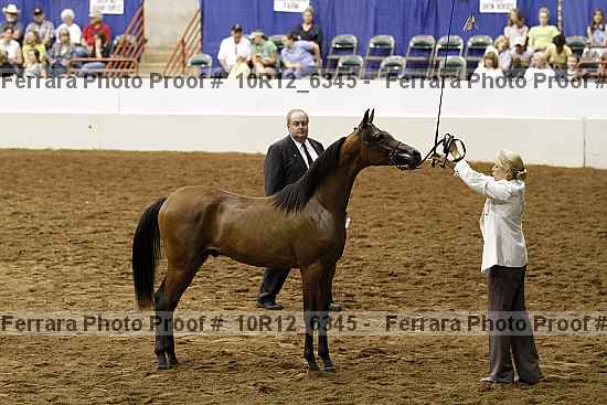 Proof 10r12_6345