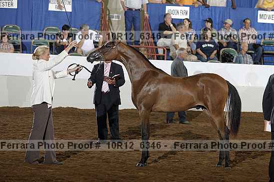 Proof 10r12_6346