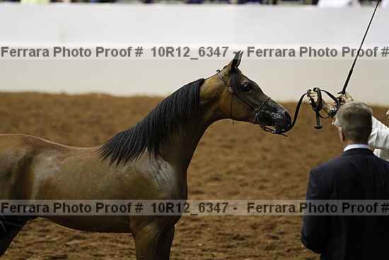 Proof 10r12_6347