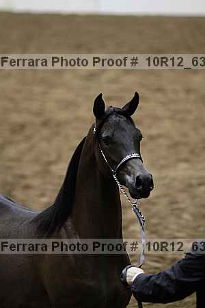 Proof 10r12_6348