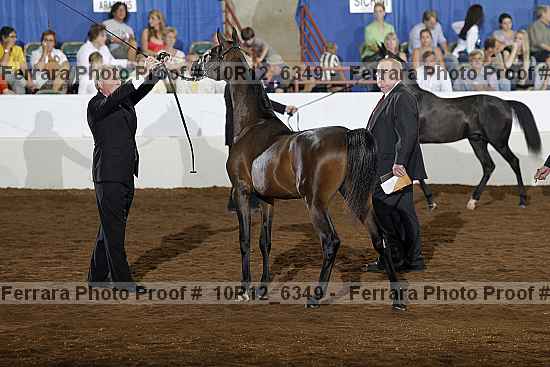Proof 10r12_6349