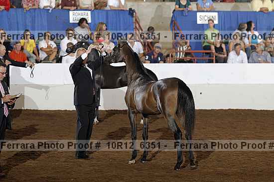 Proof 10r12_6351