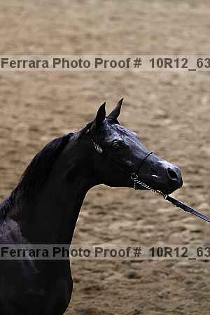 Proof 10r12_6352