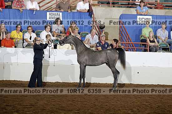 Proof 10r12_6358