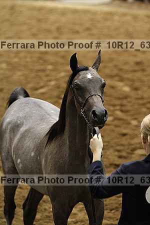 Proof 10r12_6359