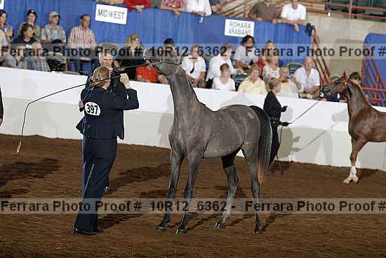 Proof 10r12_6362