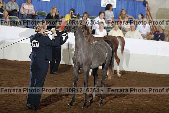 Proof 10r12_6364