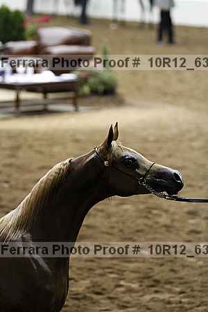 Proof 10r12_6366