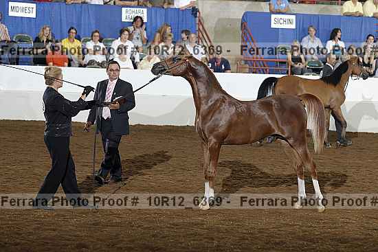 Proof 10r12_6369