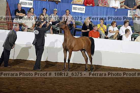 Proof 10r12_6375