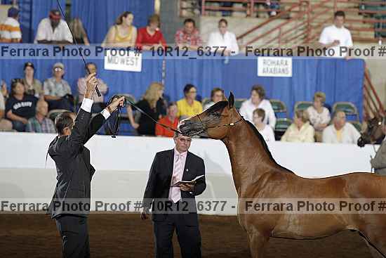 Proof 10r12_6377