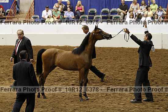 Proof 10r12_6378